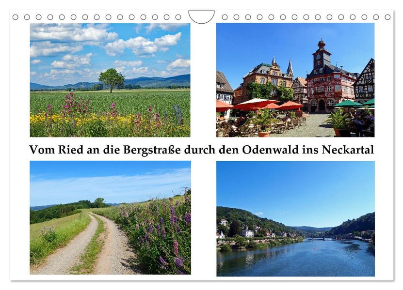 Vom Ried an die Bergstraße durch den Odenwald ins Neckartal (Wandkalender 2027 DIN A4 quer) CALVENDO Monatskalender