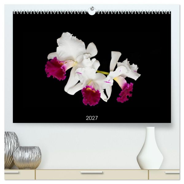 Leuchtende Cattleyen (hochwertiger Premium Wandkalender 2027 DIN A2 quer) Kunstdruck in Hochglanz
