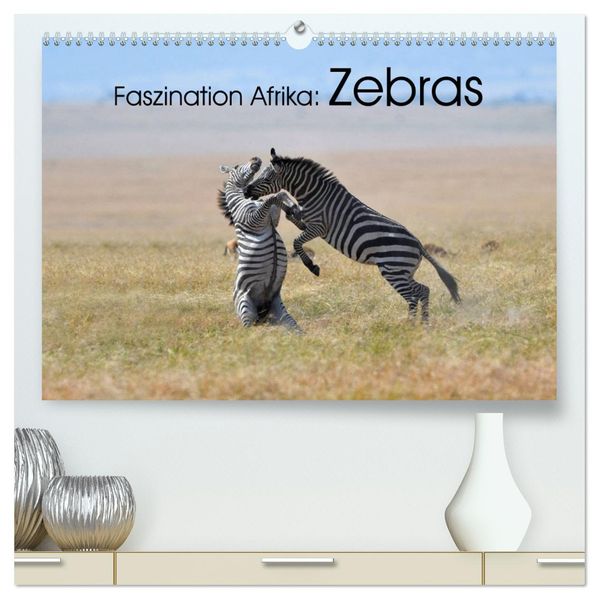 Faszination Afrika: Zebras (hochwertiger Premium Wandkalender 2027 DIN A2 quer) Kunstdruck in Hochglanz