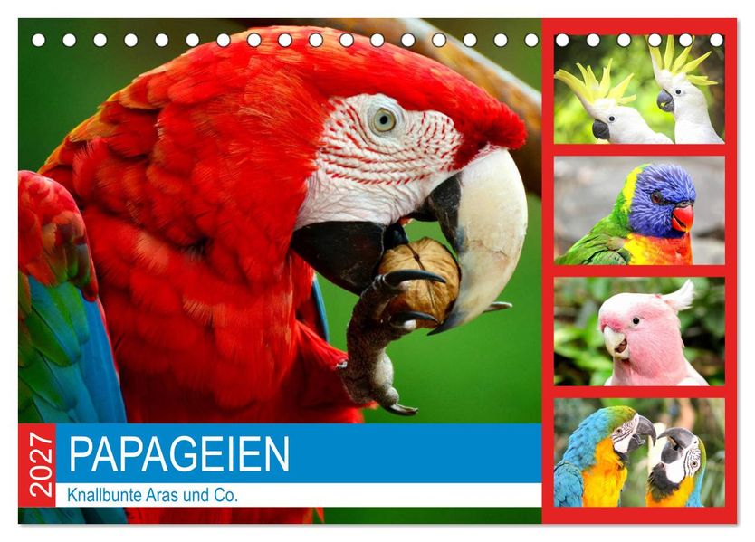 Papageien. Knallbunte Aras und Co. (Tischkalender 2027 DIN A5 quer) CALVENDO Monatskalender