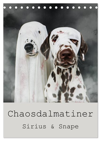 Chaosdalmatiner Sirius und Snape (Tischkalender 2027 DIN A5 hoch) CALVENDO Monatskalender