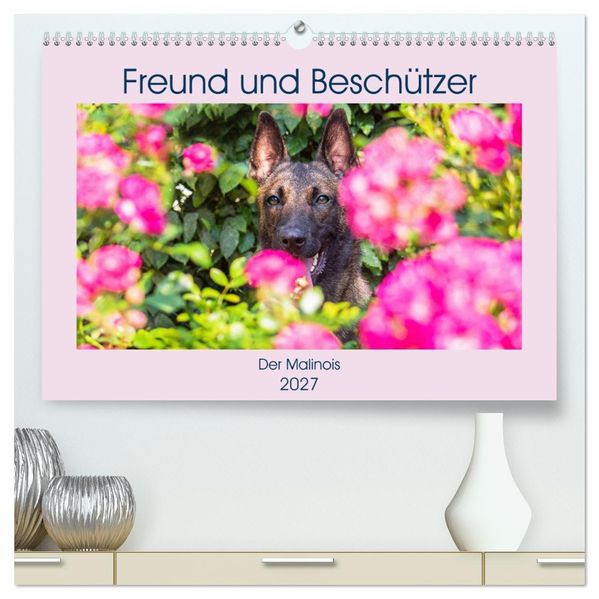 Freund und Beschützer - Der Malinois (hochwertiger Premium Wandkalender 2027 DIN A2 quer) Kunstdruck in Hochglanz