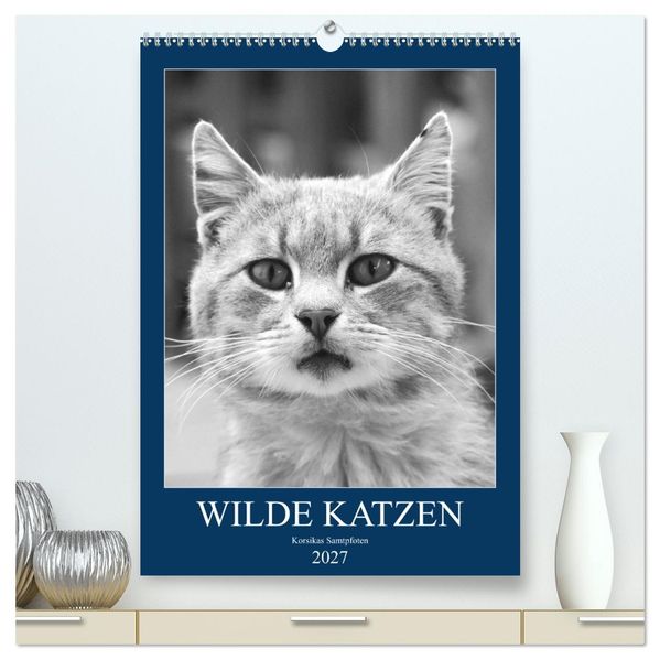 Wilde Katzen - Korsikas Samtpfoten (hochwertiger Premium Wandkalender 2027 DIN A2 hoch) Kunstdruck in Hochglanz