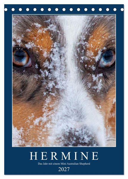 Hermine - Ein Jahr mit einem Mini Australian Shepherd (Tischkalender 2027 DIN A5 hoch) CALVENDO Monatskalender