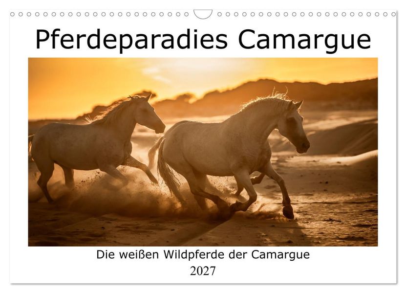 Pferdeparadies Camargue (Wandkalender 2027 DIN A3 quer) CALVENDO Monatskalender