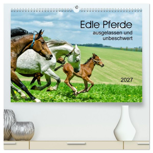 Edle Pferde - ausgelassen und unbeschwert (hochwertiger Premium Wandkalender 2027 DIN A2 quer) Kunstdruck in Hochglanz