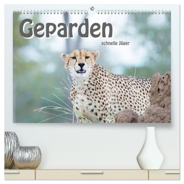 Geparden - schnelle Jäger (hochwertiger Premium Wandkalender 2027 DIN A2 quer) Kunstdruck in Hochglanz