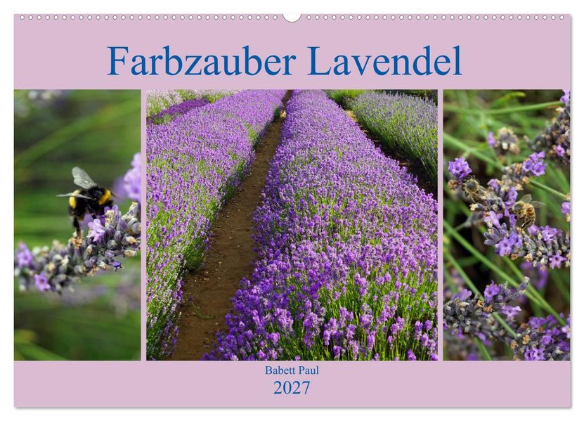 Farbzauber Lavendel (Wandkalender 2027 DIN A2 quer) CALVENDO Monatskalender
