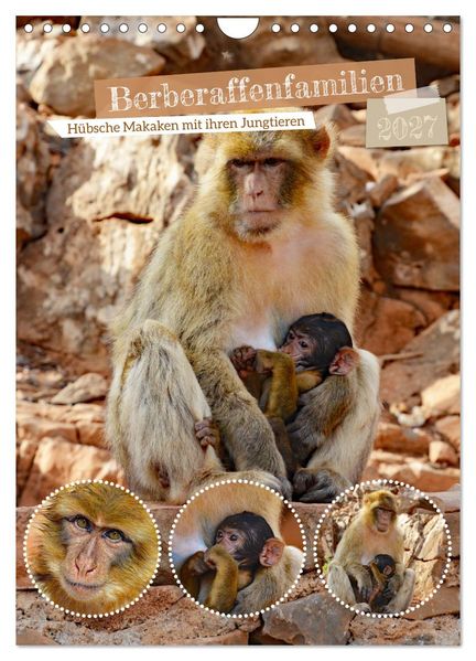 Berberaffenfamilien (Wandkalender 2027 DIN A4 hoch) CALVENDO Monatskalender