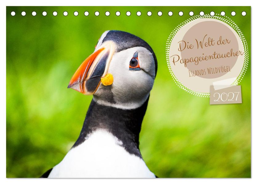 Die Welt der Papageientaucher - Islands Wildvögel (Tischkalender 2027 DIN A5 quer) CALVENDO Monatskalender