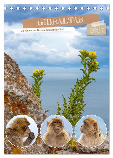 Gibraltar - Die Heimat der Berberaffen auf dem Rock (Tischkalender 2027 DIN A5 hoch) CALVENDO Monatskalender