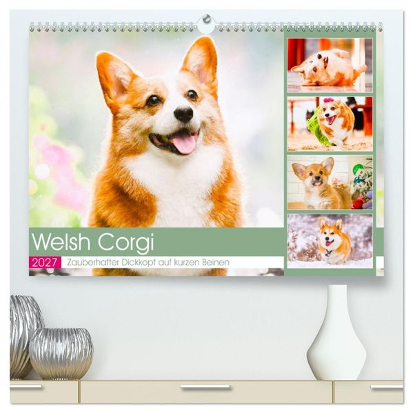 Welsh Corgi. Zauberhafter Dickkopf auf kurzen Beinen (hochwertiger Premium Wandkalender 2027 DIN A2 quer) Kunstdruck in Hochglanz