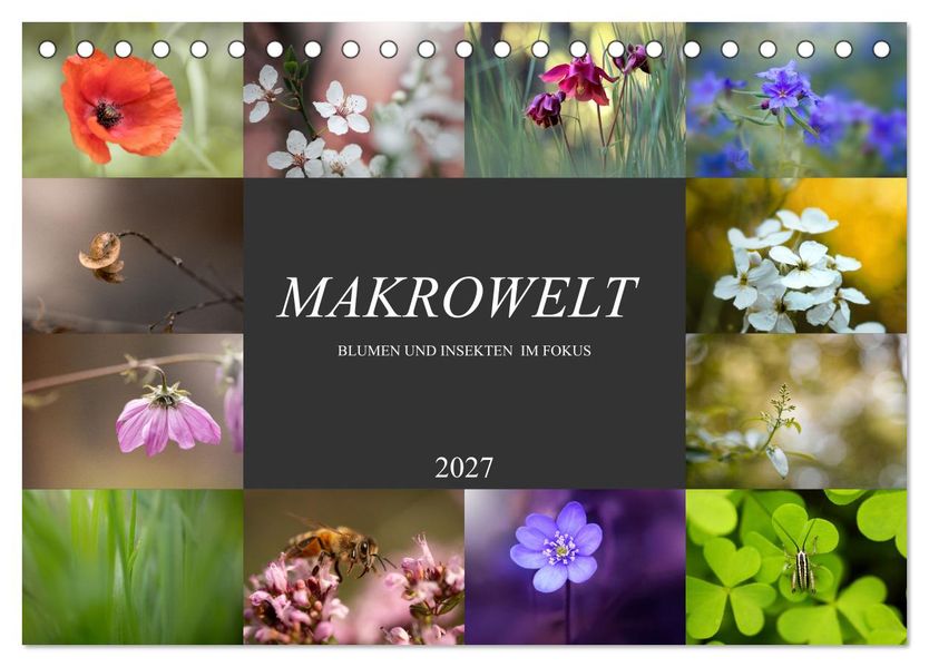 Makrowelt - Blumen und Insekten im Fokus (Tischkalender 2027 DIN A5 quer) CALVENDO Monatskalender