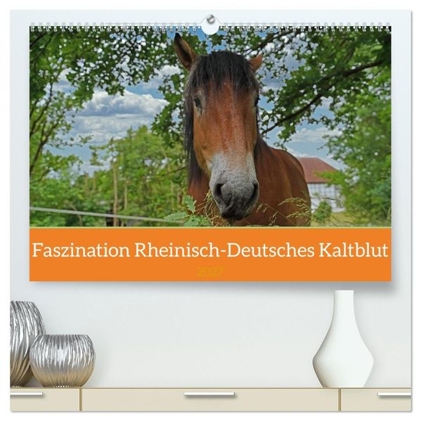 Faszination Rheinisch-Deutsches Kaltblut (hochwertiger Premium Wandkalender 2027 DIN A2 quer) Kunstdruck in Hochglanz