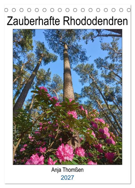 Zauberhafte Rhododendren (Tischkalender 2027 DIN A5 hoch) CALVENDO Monatskalender