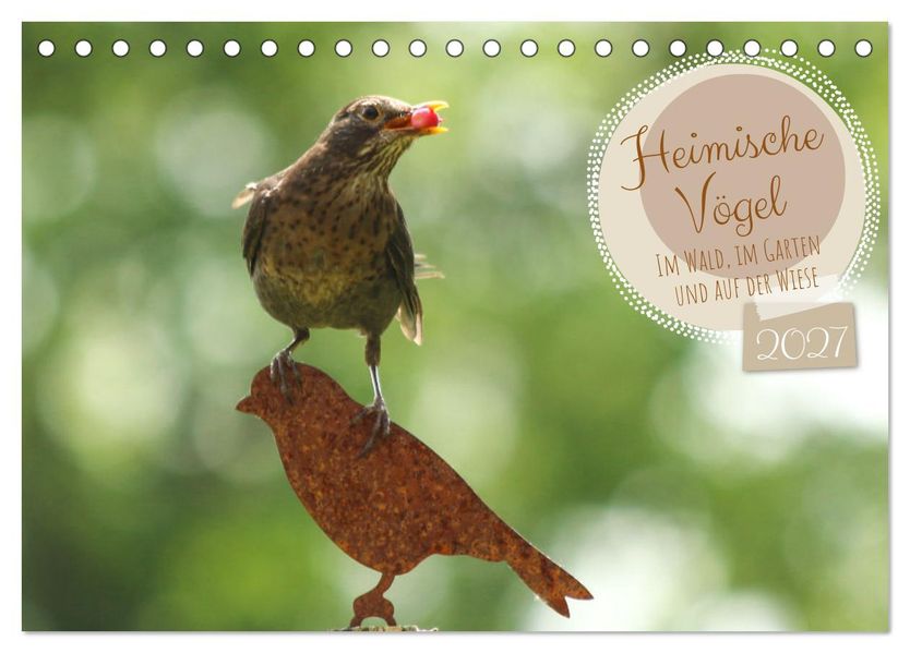 Heimische Vögel - Im Wald im Garten und auf der Wiese (Tischkalender 2027 DIN A5 quer) CALVENDO Monatskalender