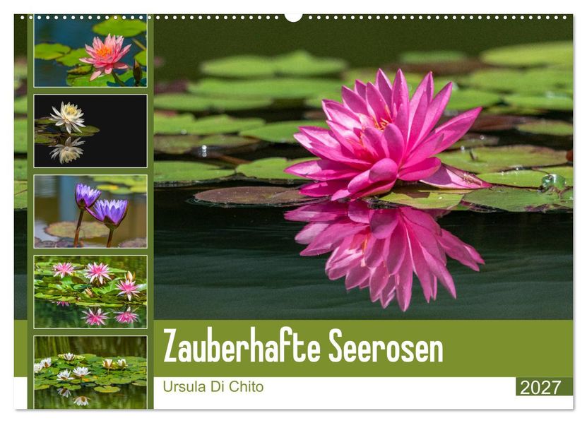 Zauberhafte Seerosen (Wandkalender 2027 DIN A2 quer) CALVENDO Monatskalender