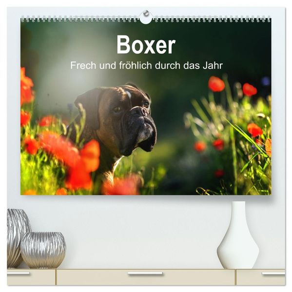 Boxer Frech und fröhlich durch das Jahr (hochwertiger Premium Wandkalender 2027 DIN A2 quer) Kunstdruck in Hochglanz