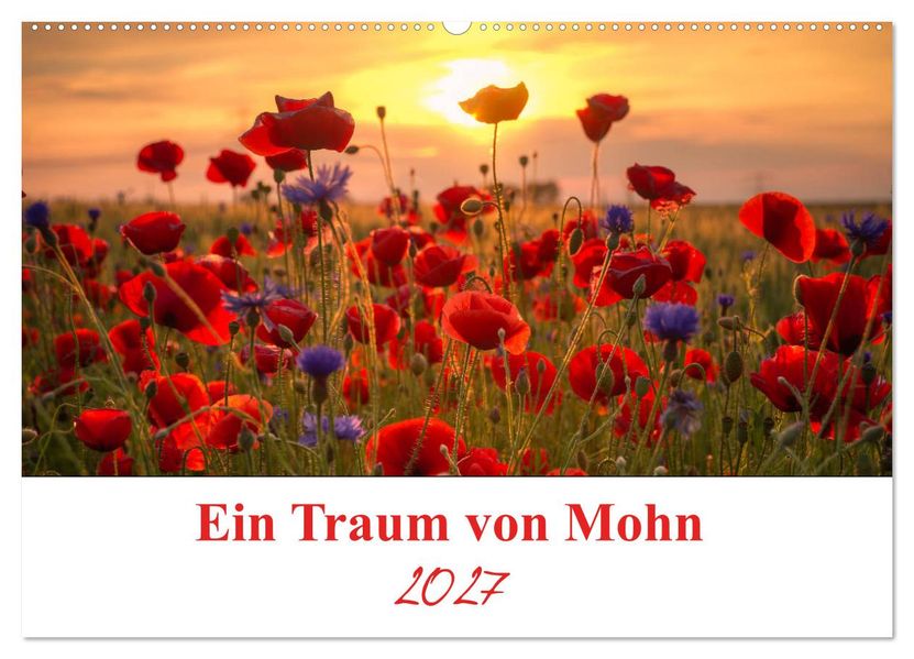 Ein Traum von Mohn (Wandkalender 2027 DIN A2 quer) CALVENDO Monatskalender