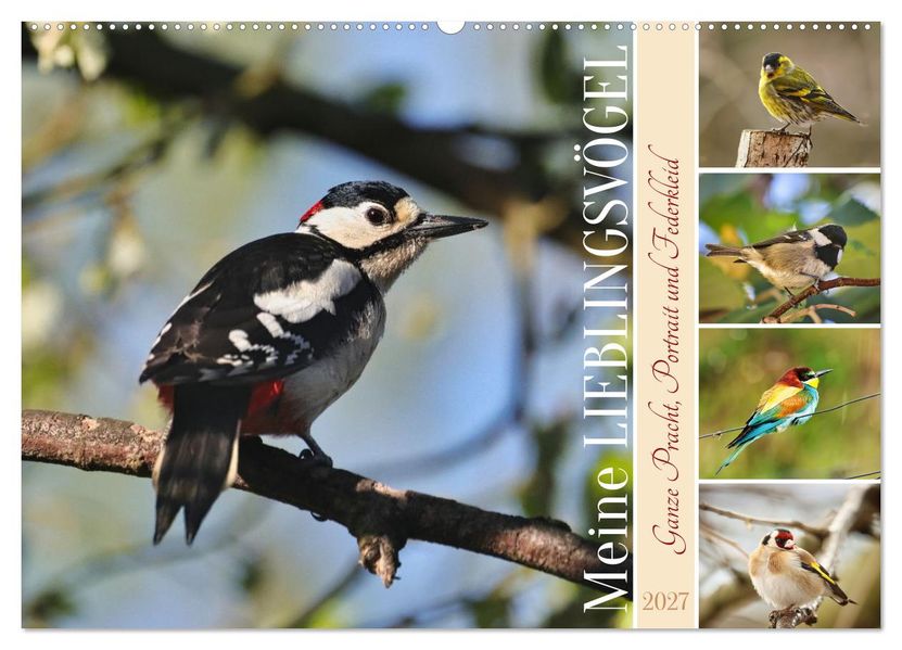 Meine Lieblingsvögel (Wandkalender 2027 DIN A2 quer) CALVENDO Monatskalender