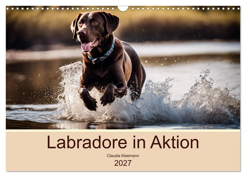 Labradore in Aktion (Wandkalender 2027 DIN A3 quer) CALVENDO Monatskalender