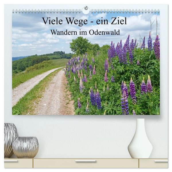 Viele Wege - ein Ziel Wandern im Odenwald (hochwertiger Premium Wandkalender 2027 DIN A2 quer) Kunstdruck in Hochglanz