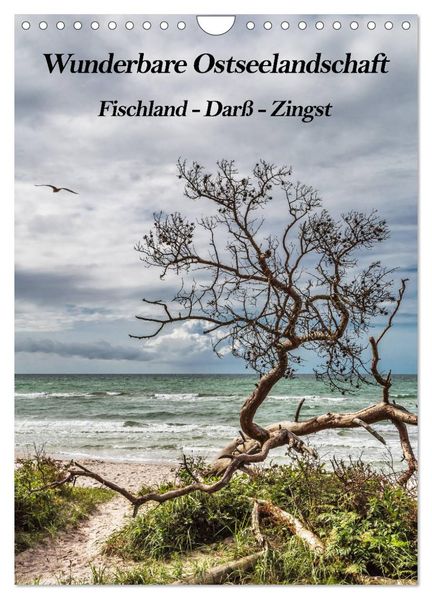 Wunderbare Ostseelandschaft Fischland-Darß-Zingst (Wandkalender 2027 DIN A4 hoch) CALVENDO Monatskalender