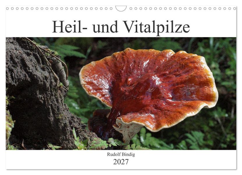 Heil- und Vitalpilze (Wandkalender 2027 DIN A3 quer) CALVENDO Monatskalender