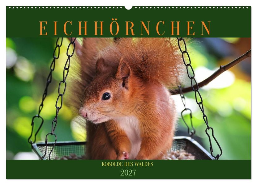 Eichhörnchen Kobolde des Waldes (Wandkalender 2027 DIN A2 quer) CALVENDO Monatskalender