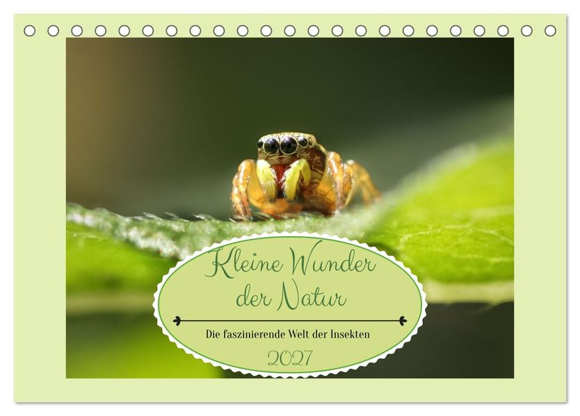 Die faszinierende Welt der Insekten (Tischkalender 2027 DIN A5 quer) CALVENDO Monatskalender
