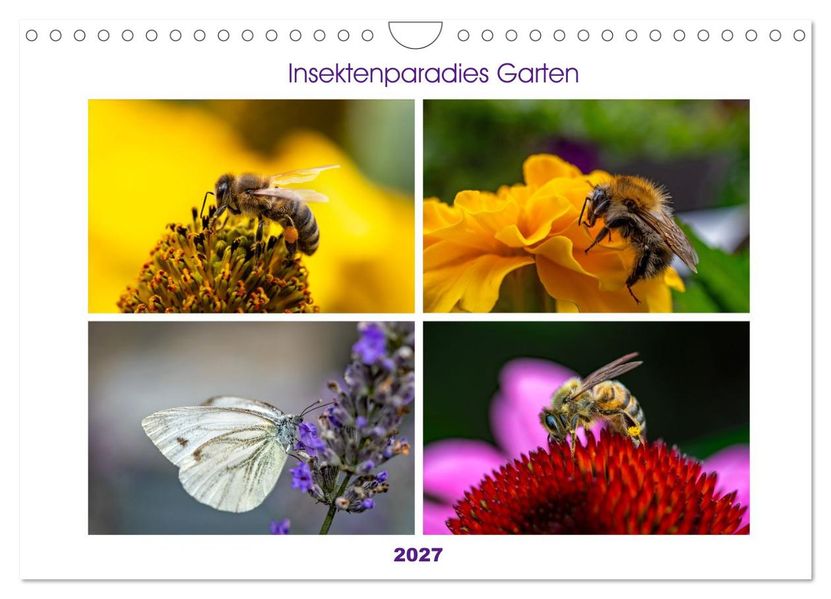 Insektenparadies Garten (Wandkalender 2027 DIN A4 quer) CALVENDO Monatskalender