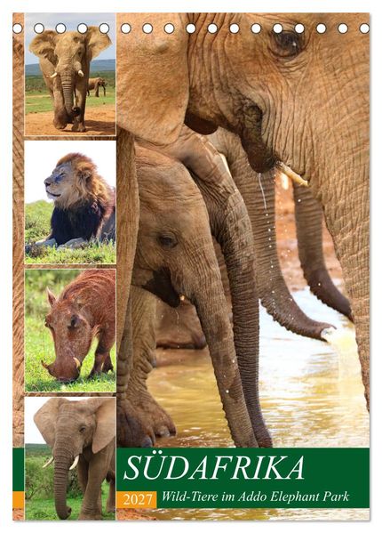 SÜDAFRIKA Wild-Tiere im Addo Elephant Park (Tischkalender 2027 DIN A5 hoch) CALVENDO Monatskalender