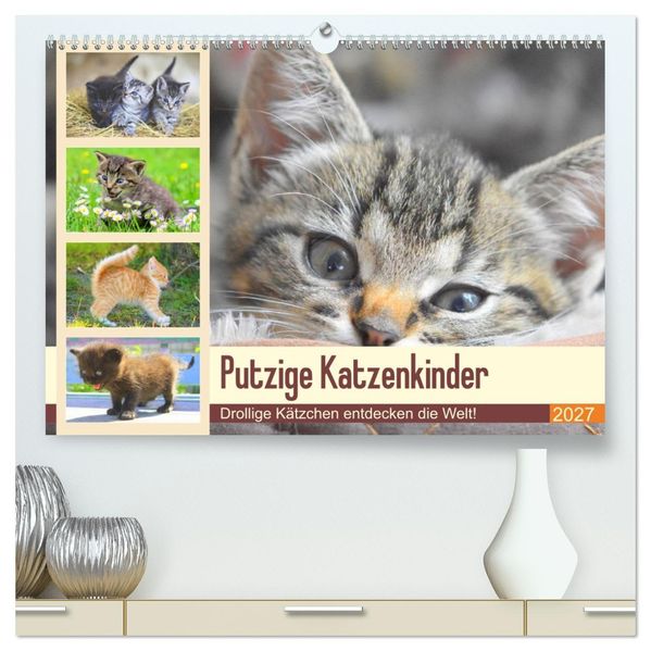 Putzige Katzenkinder. Drollige Kätzchen entdecken die Welt! (hochwertiger Premium Wandkalender 2027 DIN A2 quer) Kunstdruck in Hochglanz