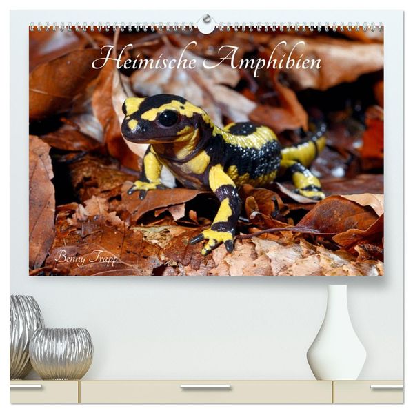 Heimische Amphibien (hochwertiger Premium Wandkalender 2027 DIN A2 quer) Kunstdruck in Hochglanz