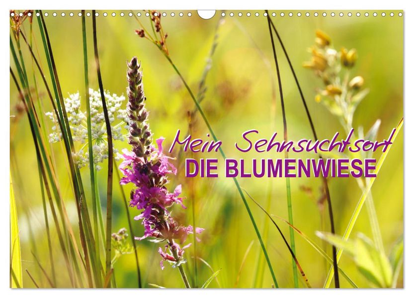 Mein Sehnsuchtsort die Blumenwiese (Wandkalender 2027 DIN A3 quer) CALVENDO Monatskalender