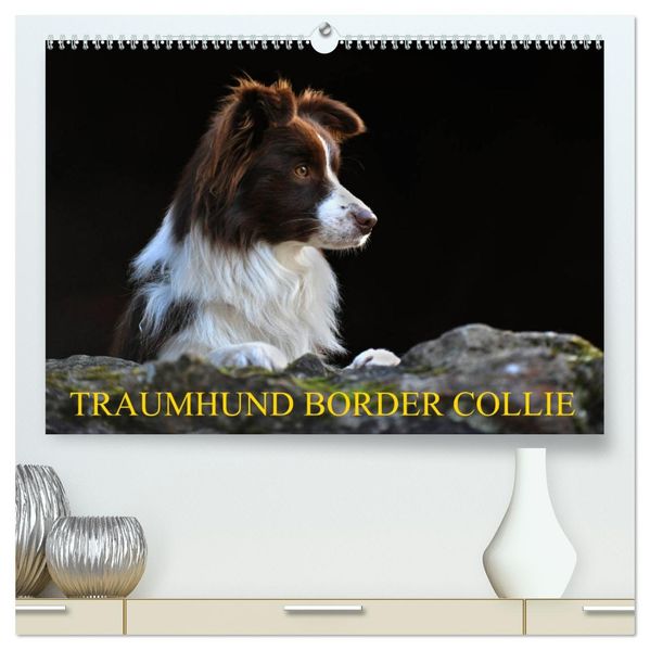 Traumhund Border Collie (hochwertiger Premium Wandkalender 2027 DIN A2 quer) Kunstdruck in Hochglanz