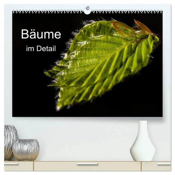 Bäume im Detail (hochwertiger Premium Wandkalender 2027 DIN A2 quer) Kunstdruck in Hochglanz