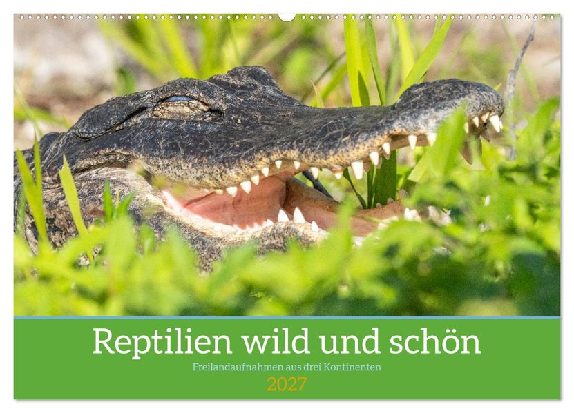 Reptilien wild und schön (Wandkalender 2027 DIN A2 quer) CALVENDO Monatskalender