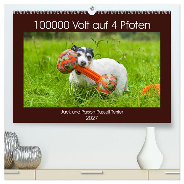 100000 Volt auf vier Pfoten - Jack und Parson Russell Terrier (hochwertiger Premium Wandkalender 2027 DIN A2 quer) Kunstdruck in Hochglanz