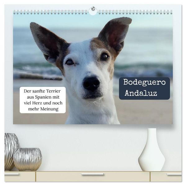 Ratonero Bodeguero Andaluz (hochwertiger Premium Wandkalender 2027 DIN A2 quer) Kunstdruck in Hochglanz