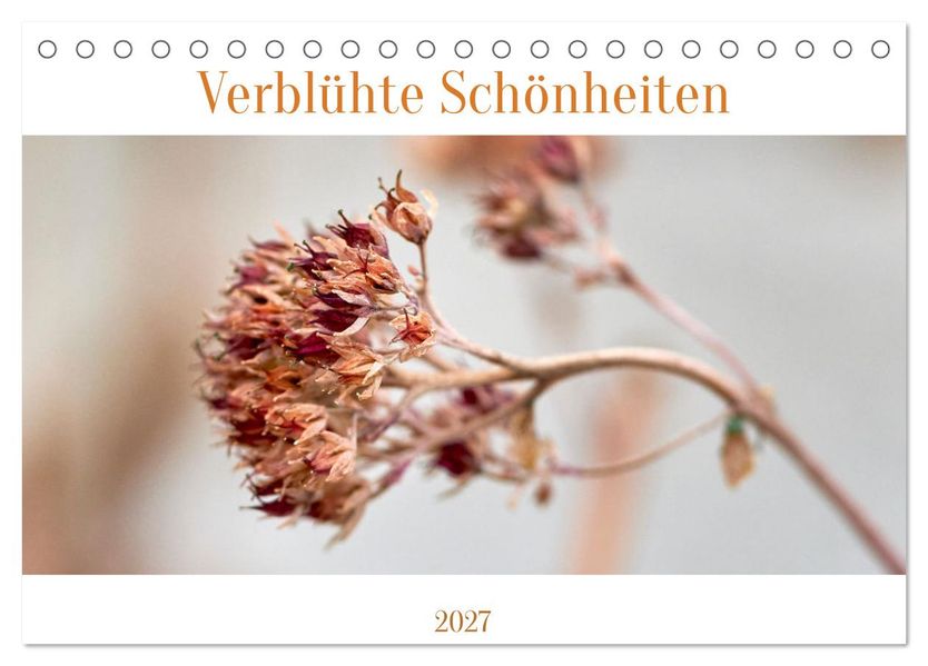 Verblühte Schönheiten (Tischkalender 2027 DIN A5 quer) CALVENDO Monatskalender