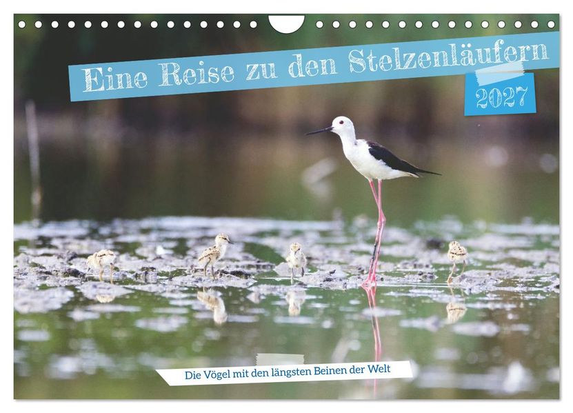 Eine Reise zu den Stelzenläufern (Wandkalender 2027 DIN A4 quer) CALVENDO Monatskalender