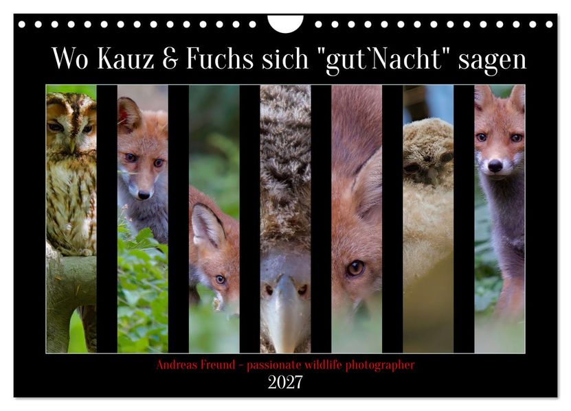 Wo Kauz & Fuchs sich 'gut`Nacht' sagen (Wandkalender 2027 DIN A4 quer) CALVENDO Monatskalender