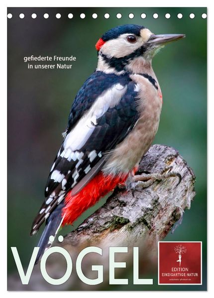 Vögel - gefiederte Freunde in unserer Natur (Tischkalender 2027 DIN A5 hoch) CALVENDO Monatskalender