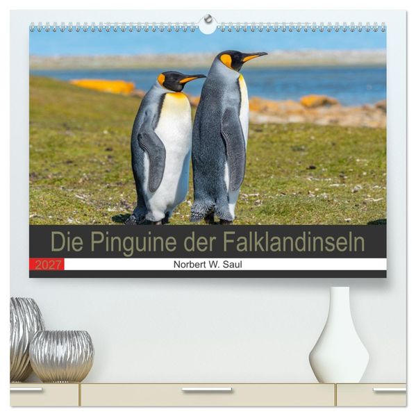 Die Pinguine der Falklandinseln (hochwertiger Premium Wandkalender 2027 DIN A2 quer) Kunstdruck in Hochglanz