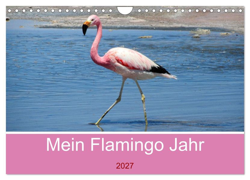 Mein Flamingo Jahr (Wandkalender 2027 DIN A4 quer) CALVENDO Monatskalender