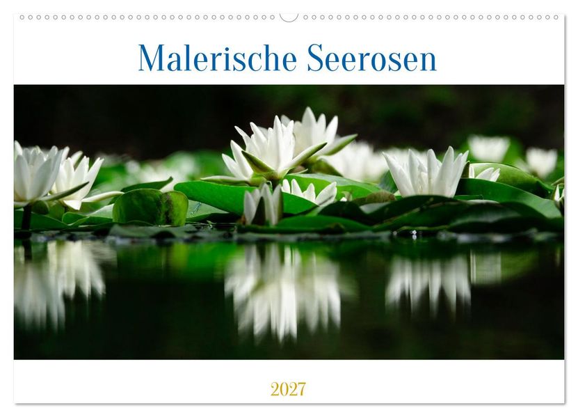 Malerische Seerosen (Wandkalender 2027 DIN A2 quer) CALVENDO Monatskalender