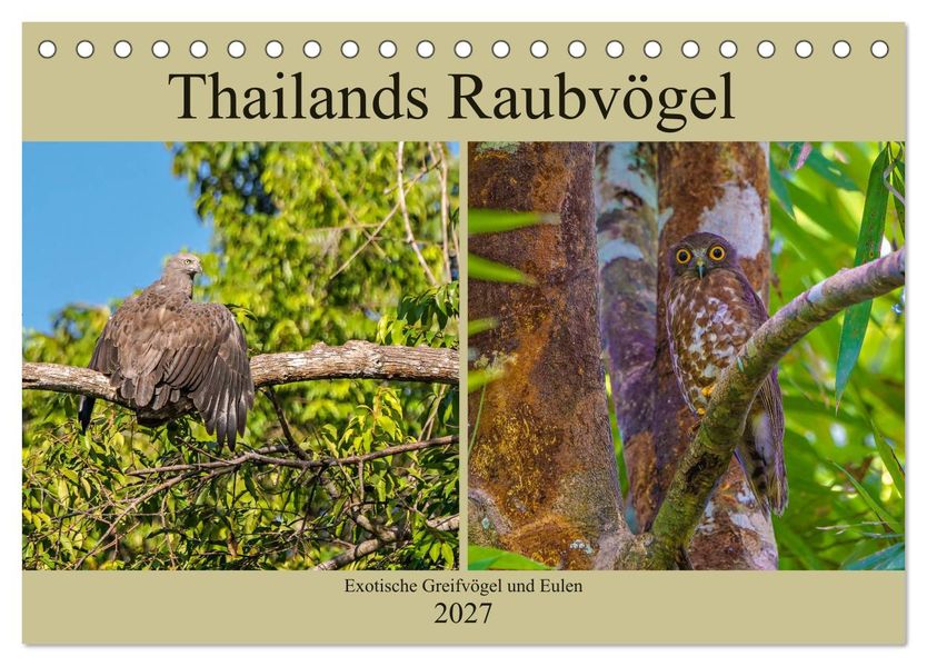 THAILANDS RAUBVÖGEL Exotische Greifvögel und Eulen (Tischkalender 2027 DIN A5 quer) CALVENDO Monatskalender