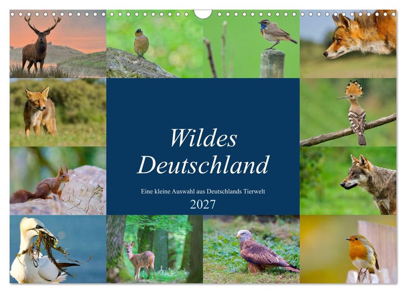 Wildes Deutschland (Wandkalender 2027 DIN A3 quer) CALVENDO Monatskalender