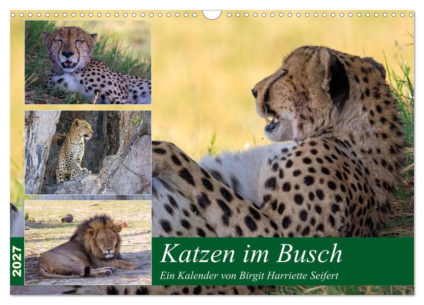 Katzen im Busch (Wandkalender 2027 DIN A3 quer) CALVENDO Monatskalender